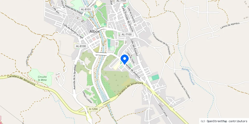 Mapa de la ubicación publicada de Guzmán Seguridad