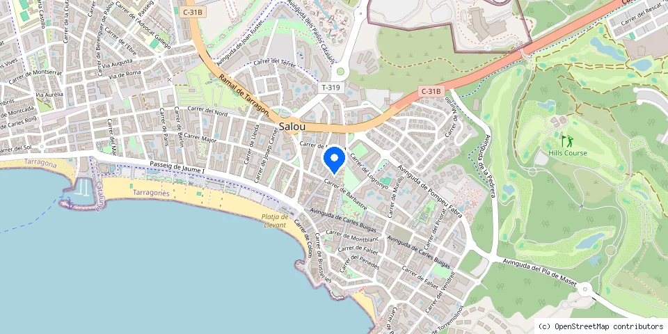 Mapa de la ubicación publicada de ElectrofonExpres