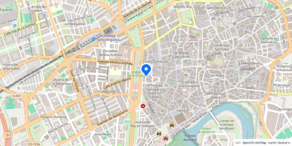 Mapa de la ubicación publicada de Cerrajería Vicente