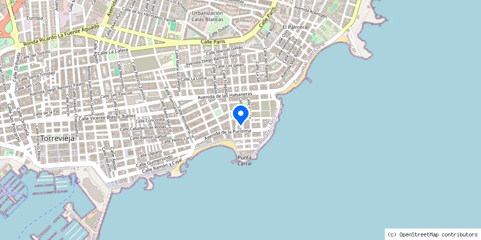 Mapa de la ubicación publicada de CERRAJERO PROFESIONAL TORREVIEJA