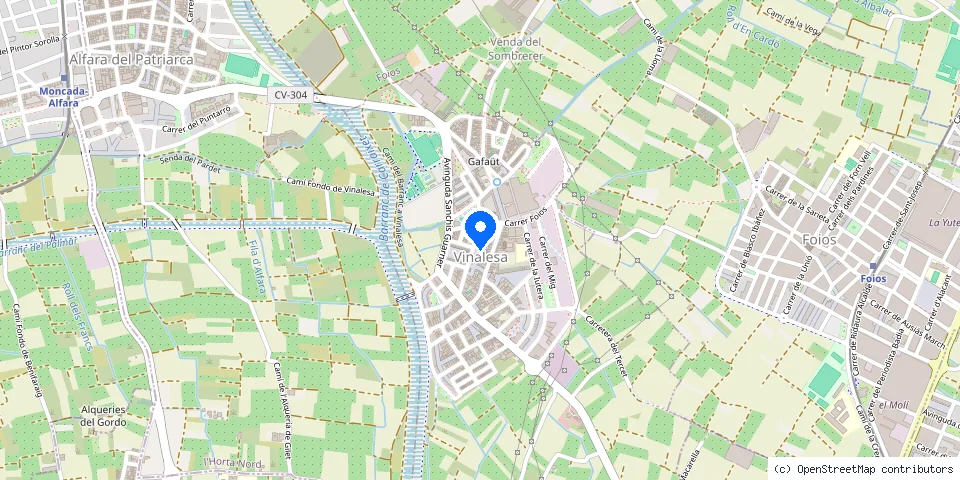 Mapa de la ubicación publicada de Cerrajeros Vinalesa 603 441 161